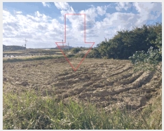  2025Ÿ��30458 ���� ��â�� �ɿ��� ������ 324      ����(��1)���