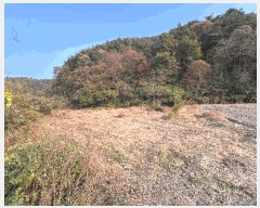  2025Ÿ��30474  �����