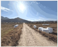  2025Ÿ��30474 ���� ������ ĥ���� �û긮 990      ���ð��