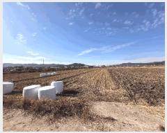  2025Ÿ��30474 ���� ������ ĥ���� �û긮 990      ���ð��