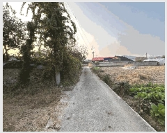  2025Ÿ��30474 ���� ������ ĥ���� �û긮 990      ���ð��