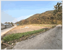  2025Ÿ��30474 ���� ������ ĥ���� �û긮 990      ���ð��