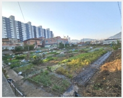  2025Ÿ��30483 ���� ������ �� 183-7       ����(��)���