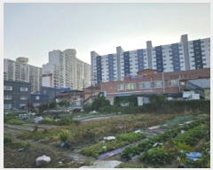  2025Ÿ��30483 ���� ������ �� 183-7       ����(��)���