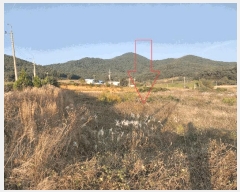  2025Ÿ��30486 ���� �ξȱ� �ϼ��� ��Ÿ� 112-3      ����(�Ӿ�)���