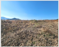  2025Ÿ��30486 ���� �ξȱ� �ϼ��� ��Ÿ� 112-3      ����(�Ӿ�)���