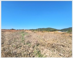  2025Ÿ��30486 ���� �ξȱ� �ϼ��� ��Ÿ� 112-3      ����(�Ӿ�)���