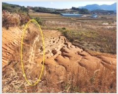  2025Ÿ��30486 ���� �ξȱ� �ϼ��� ��Ÿ� 112-3      ����(�Ӿ�)���