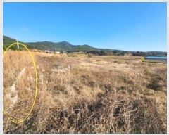  2025Ÿ��30486 ���� �ξȱ� �ϼ��� ��Ÿ� 112-3      ����(�Ӿ�)���