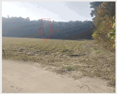  2025Ÿ��30507 ���� �ξȱ� ������ ������ 546-152      ����(��)���