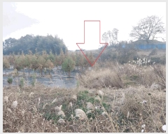  2025Ÿ��30507 ���� �ξȱ� ������ ������ 546-152      ����(��)���