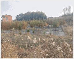  2025Ÿ��30507 ���� �ξȱ� ������ ������ 546-152      ����(��)���