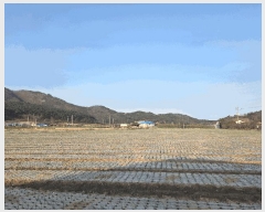  2025Ÿ��30524 ���� �ξȱ� ����� ��긮 146      ����(��1)���