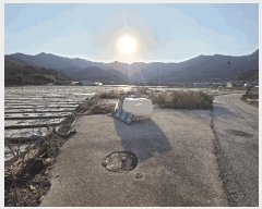  2025Ÿ��30524 ���� �ξȱ� ����� ��긮 146      ����(��1)���