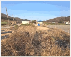  2025Ÿ��30524 ���� �ξȱ� ����� ��긮 146      ����(��1)���