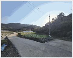  2025Ÿ��30524 ���� �ξȱ� ����� ��긮 146      ����(��1)���