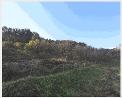  2025Ÿ��30524 ���� �ξȱ� ����� ��긮 146      ����(��1)���