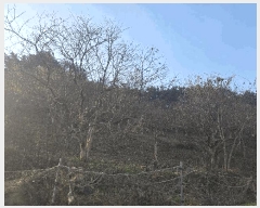  2025Ÿ��30524 ���� �ξȱ� ����� ��긮 146      ����(��1)���