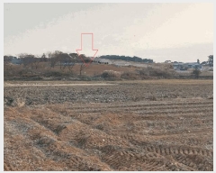  2025Ÿ��30527 ���� �ξȱ� �ϼ��� ��Ÿ� 917-3      ����(��1)���