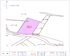  2025Ÿ��30527 ���� �ξȱ� �ϼ��� ��Ÿ� 917-3      ����(��1)���