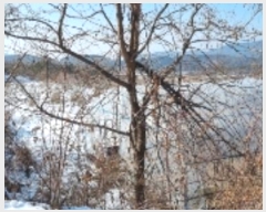  2025Ÿ��1034  �Ӿ߰��