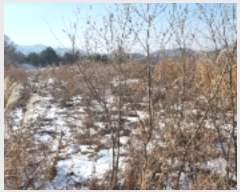  2025Ÿ��1034  �Ӿ߰��