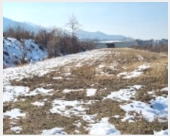  2025Ÿ��1034  �Ӿ߰��