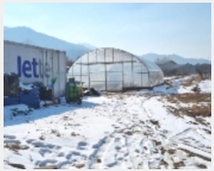  2025Ÿ��1034  �Ӿ߰��