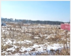  2025Ÿ��1034  �Ӿ߰��