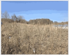  2025Ÿ1102   밭 浿 676      (1)