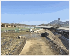  2025Ÿ1102   밭 浿 676      (1)