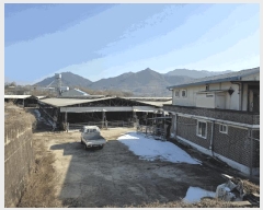  2025Ÿ1102   밭 浿 676      (1)