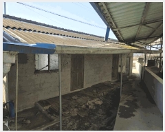  2025Ÿ1102   밭 浿 676      (1)