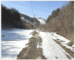  2025Ÿ��1120 ���� ����� õõ�� ��� 121      ����(��1)���