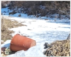  2025Ÿ��1120 ���� ����� õõ�� ��� 121      ����(��1)���