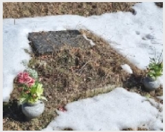  2025Ÿ��1120 ���� ����� õõ�� ��� 121      ����(��1)���