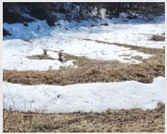  2025Ÿ��1120 ���� ����� õõ�� ��� 121      ����(��1)���