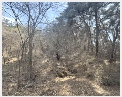  2025Ÿ��1126  �Ӿ߰��