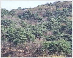  2025Ÿ��1126  �Ӿ߰��