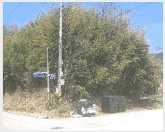  2025Ÿ��1136  �Ӿ߰��