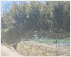  2025Ÿ��1136  �Ӿ߰��