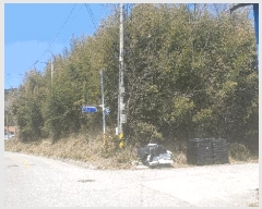  2025Ÿ��1136  �Ӿ߰��