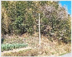  2025Ÿ��1136  �Ӿ߰��