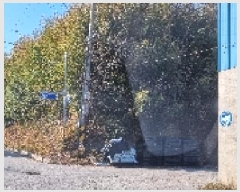  2025Ÿ��1136  �Ӿ߰��