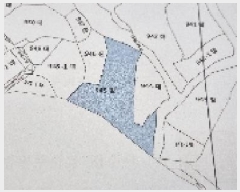  2025Ÿ��1136  �Ӿ߰��