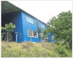  2025Ÿ��1142  â�����