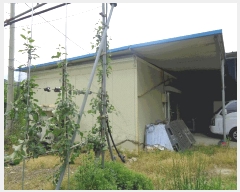  2025Ÿ��1142  â�����