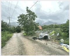  2025Ÿ��1148 ���� ������ �곻�� ���׸� 213-1      ����(��)���