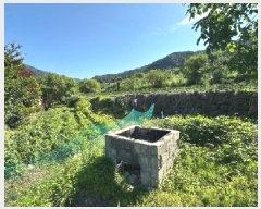  2025Ÿ��1148 ���� ������ �곻�� ���׸� 213-1      ����(��)���