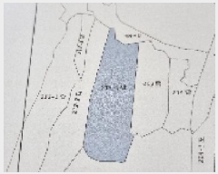  2025Ÿ��1148 ���� ������ �곻�� ���׸� 213-1      ����(��)���